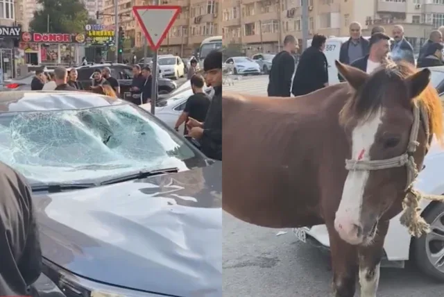 Bakıda minik avtomobili atla toqquşdu - Video